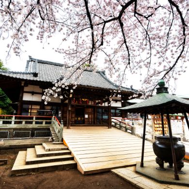 『梅照院』♪通称、新井薬師寺のお膝元♪新井の魅力☆彡